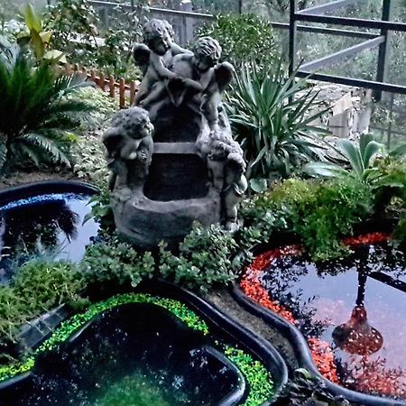 Villa Angel Rapallo Eksteriør billede